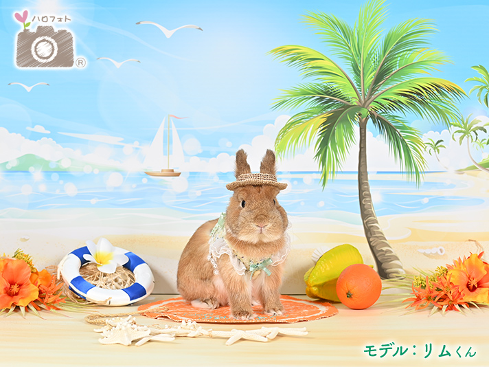 モデル：リムくん