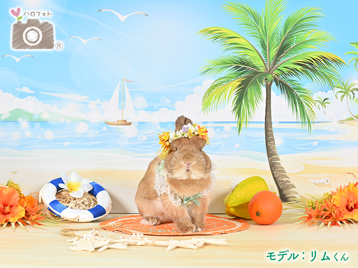 モデル：リムくん