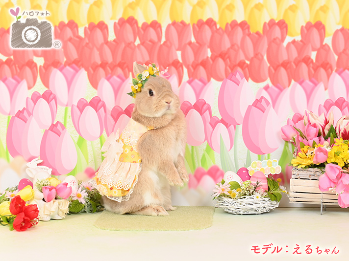 モデル：えるちゃん