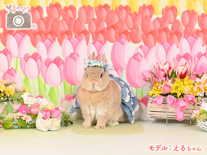 モデル：えるちゃん