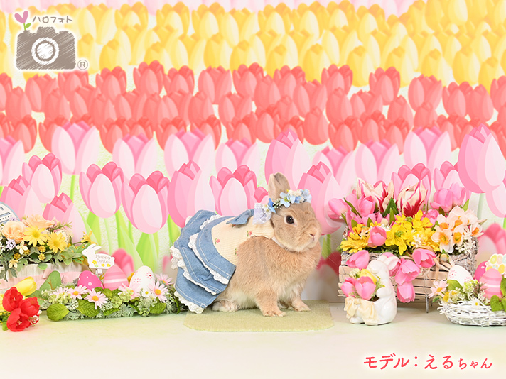 モデル：えるちゃん