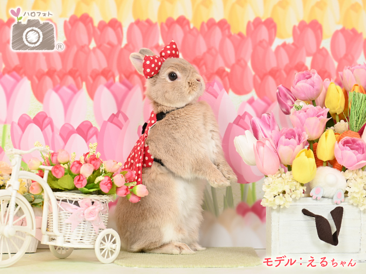 モデル：えるちゃん