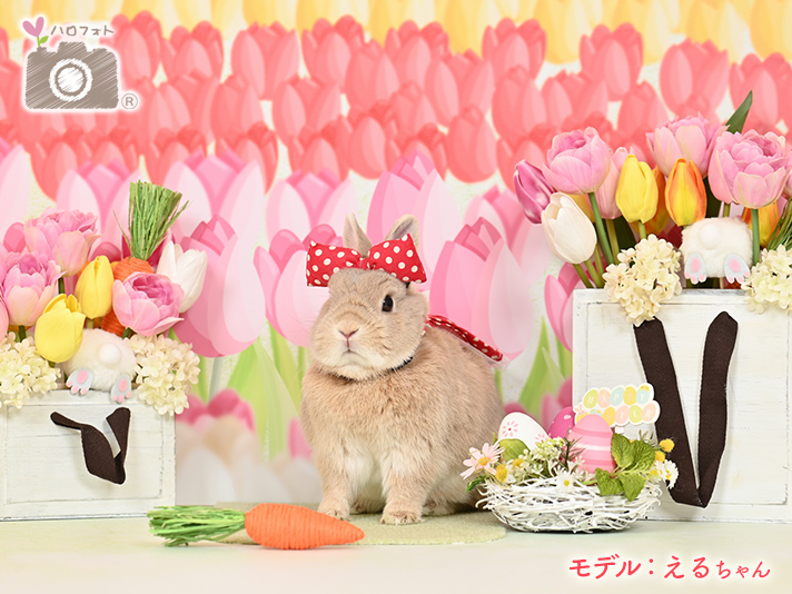 モデル：えるちゃん