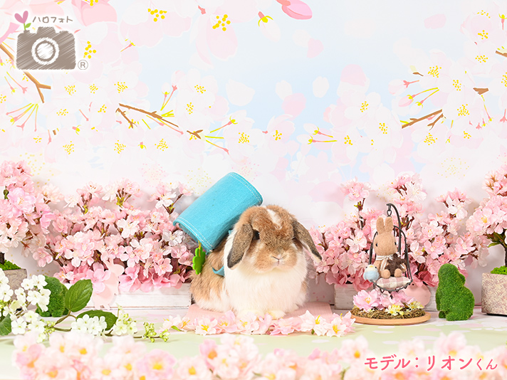 モデル：リオンくん