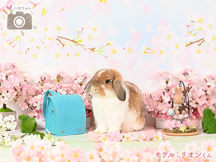 モデル：リオンくん